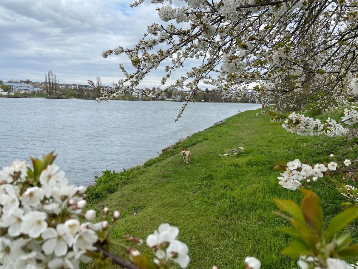 Lieblingsplatz Koblenz Villa Koblenz  Ngoại thất bức ảnh
